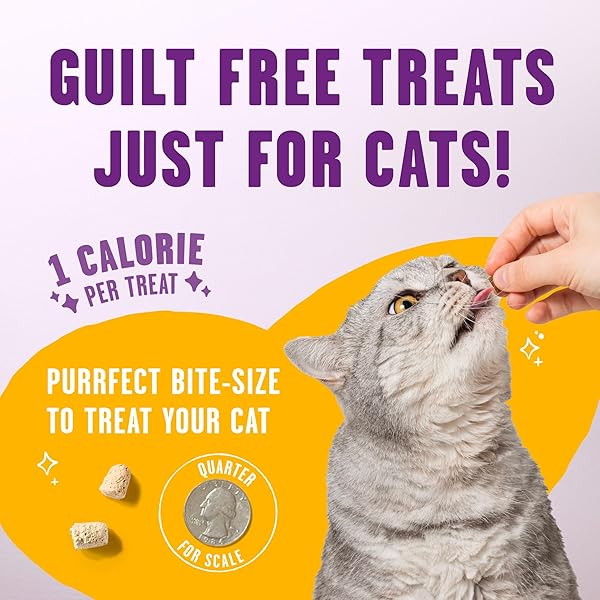 STELLA & CHEWY’S MEOWFULLS FREEZE DRIED CAT TREATS – CHICKEN & CHICKEN LIVER RECIPE – RAW PROTEIN WITH PROBIOTICS & SALMON OIL – 1 CALORIE PER TREAT – 1.5 OZ