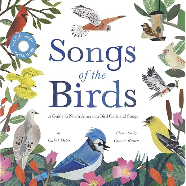 【中古】 Ireland’s Birds: Myths, Legends and Folklore/COLLINS PR/Niall Mac Coitir Niall Mac Coitir | Ennis Bookshop | Clare| Ireland