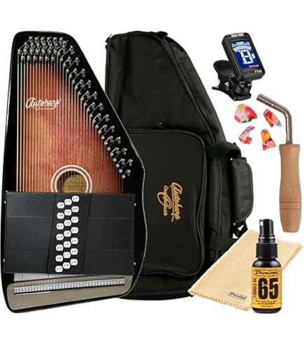 Amazon.com: Oscar Schmidt OS21C 21 Chord Classic Autoharp with