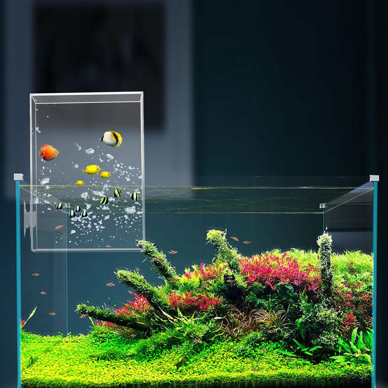 Photo 1 of Negative Pressure Fish Tank, Clear Fish Elevator Inverted Aquarium above Water Fish Tank Water Auto-Refill Transparent Vacuum Suspended Fish Tank Fish Tank Water Level Maintenance Aquarium Decoration