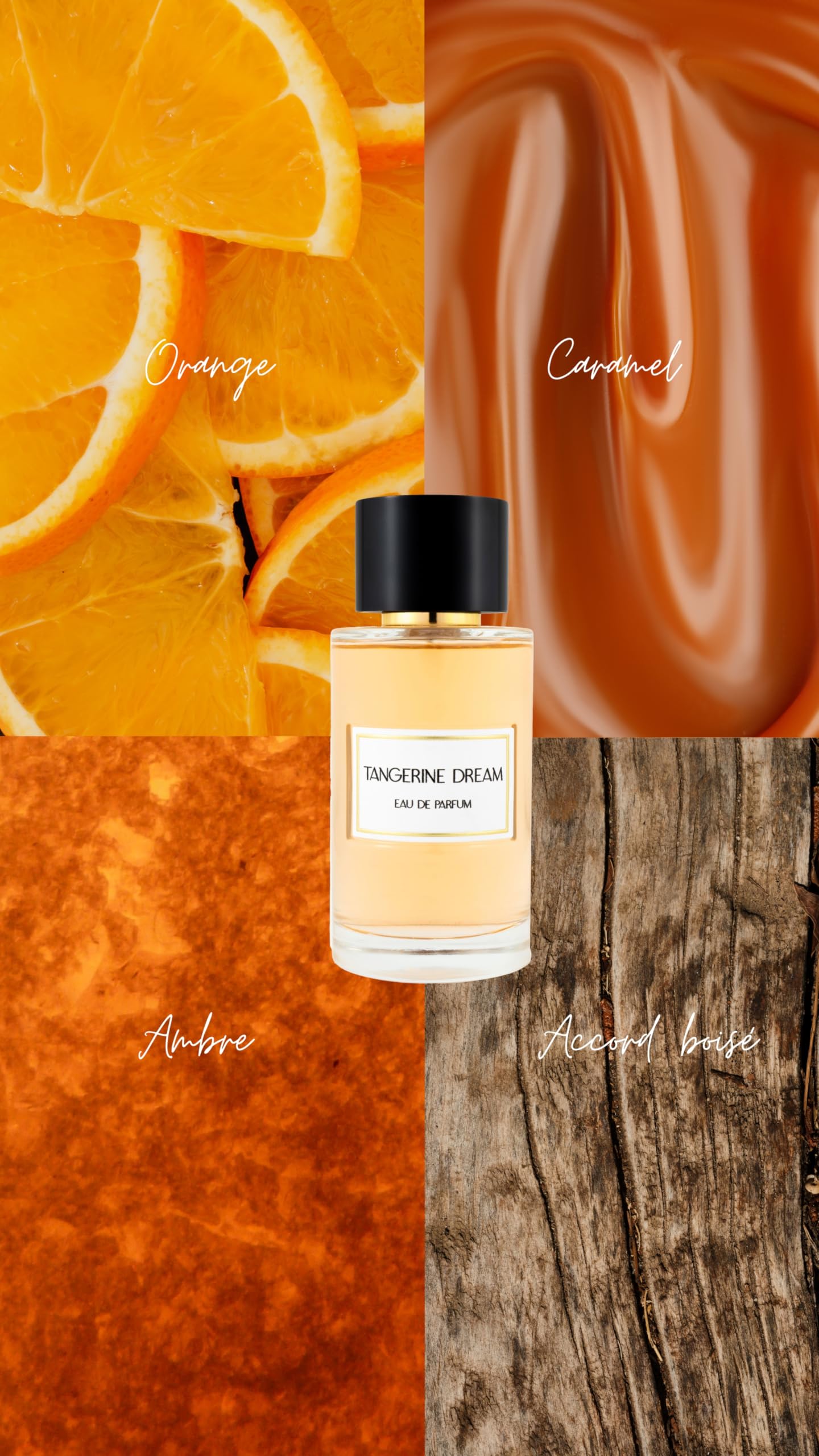 JEANNE ARTHES – Private Collection – Tangerine Dream Eau de Parfum damen – Amber & Fruchtig – Orange, Amber – Hergestellt in Grasse – 100 ml Sprühflasche 3