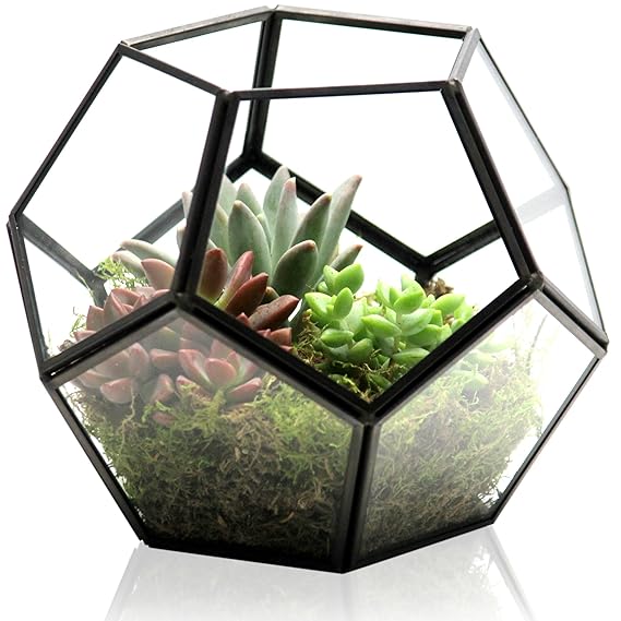 Kibaga Geometric Terrarium - Modern Indoor Plant Terrarium with 2x Free Tealight Candles - Elegant DIY Glass Terrarium Home for Succulents and other Plants