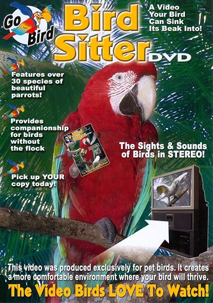 parrot sitter near me