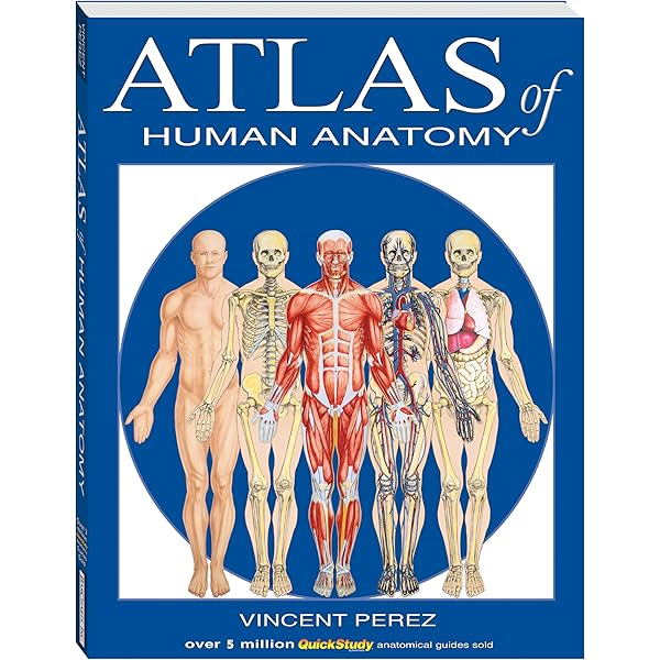 Color Atlas of Human Anatomy, Vol. 3: Nervous System and Sensory