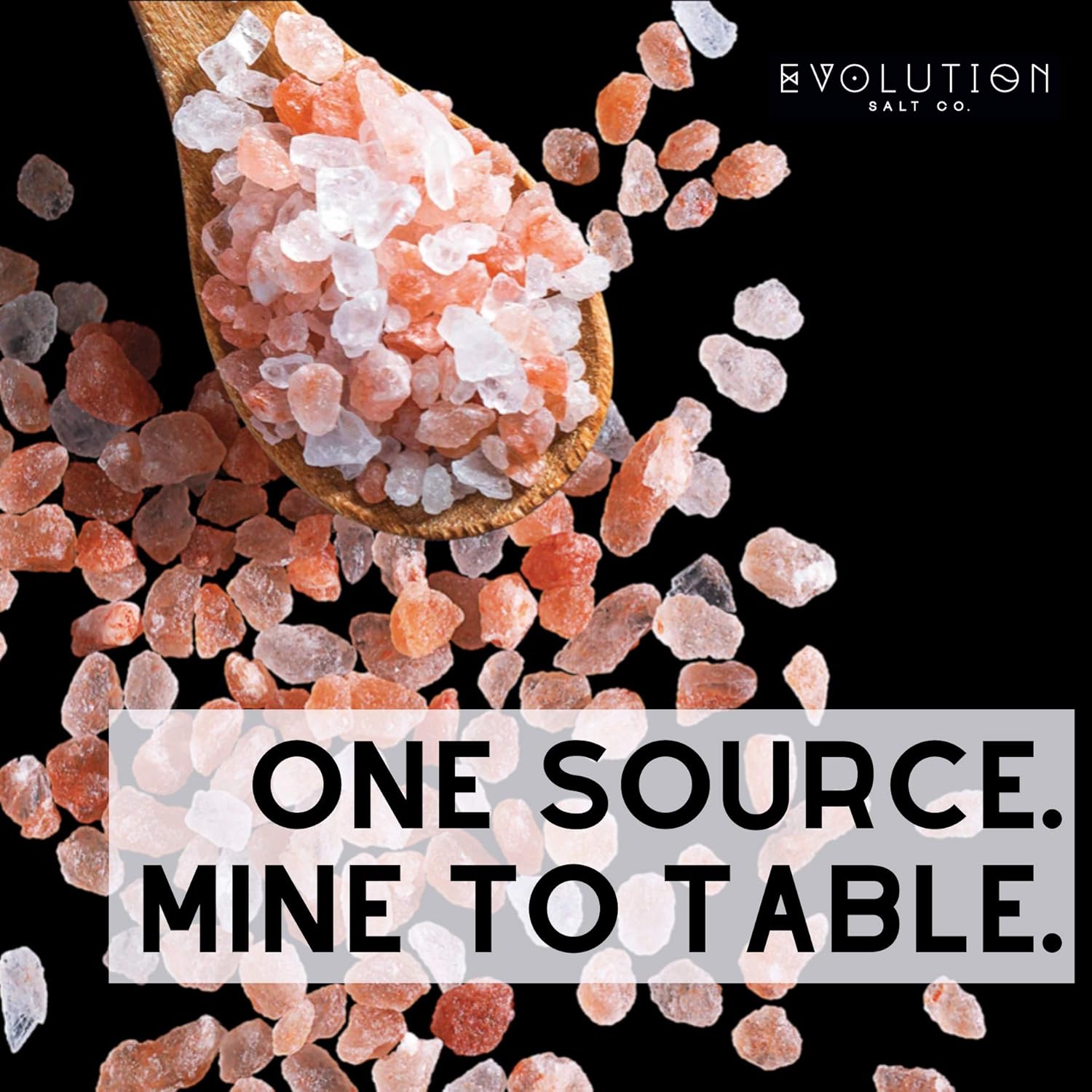 Evolution Salt Gourmet Pink Himalayan Fine Grind, 5 lb : Grocery & Gourmet Food