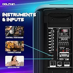 Dolphin 1000W Karaoke Party Speaker with 2 Wireless