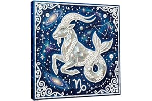 DoxQcs Twelve Zodiac DIY Pearl Diamond Art Painting Kit with Blue Frame 9.84X9.84in Inch Shining Diamond Art Craft Resin Gem 