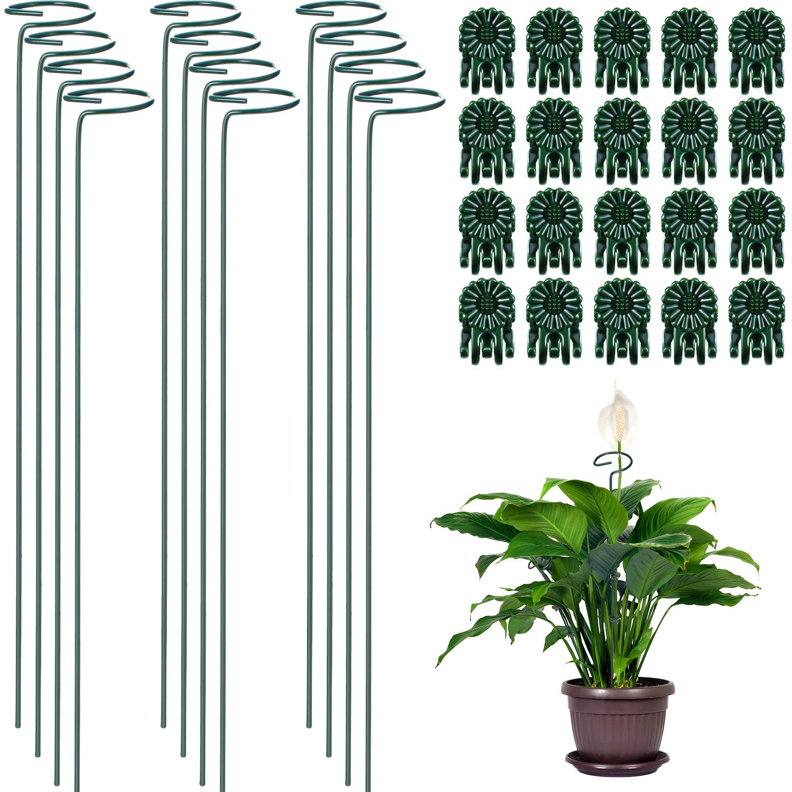 Hotop 12 Pieces Plant Support Stakes, 40 cm/ 15.9 Inch Single Stem Plant Support with 20 Pieces Phalaenopsis Gardening Clip Vine Fixing Clip for Small Plant Flower (Dark Green)