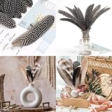 TZMFHD 50 Pcs Pheasant Feathers 12-20cm Natural Craft Feathers 4 Styles DIY view 5
