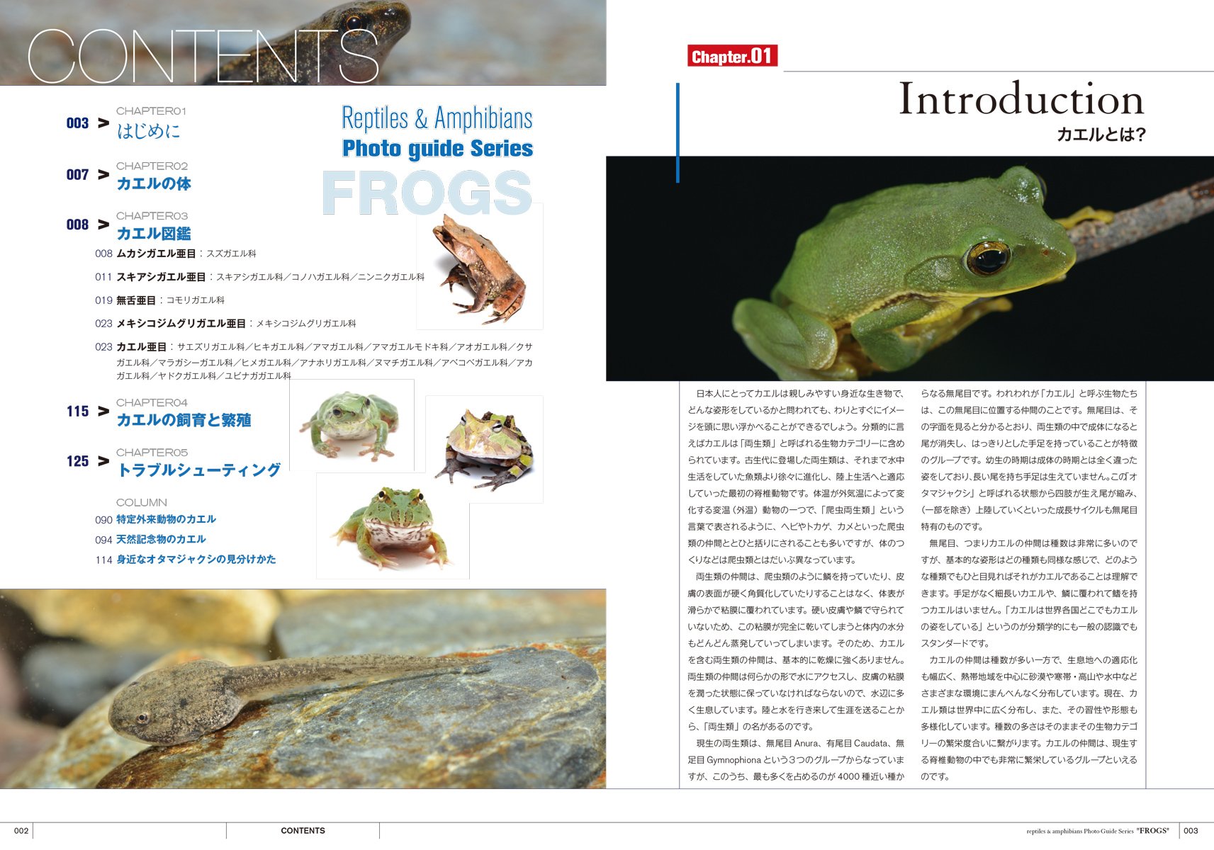 カエル 見て楽しめる爬虫類 両生類フォトガイドシリーズ Amazon Com Books