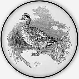 Hitecera 184708 - Alfombra redonda para decoración del hogar (7,62 cm