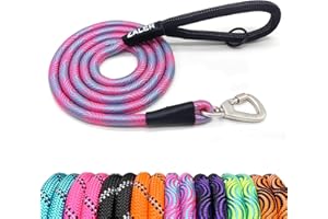 ZALER Rope Dog Leash, 4/5/6/10/15/20/30/50 Foot Heavy Duty Dog Leashes with Carabiner, Nylon Pet Lead for Large and Medium Dogs (6FT, Blue Pink)