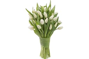 Blooms2Door PRIME NEXT DAY DELIVERY - 30 White Tulips | Farm Direct Fresh Flowers For Delivery Prime | Gift for Birthday, Sympathy, Anniversary, Get Well, Thank You, Valentine, Mother’s Day Flowers