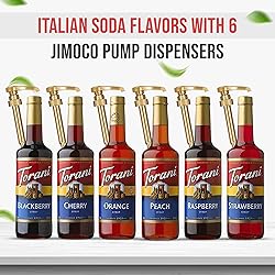 Jimoco Syrup Pump & Torani Syrup Bundle - Fruit