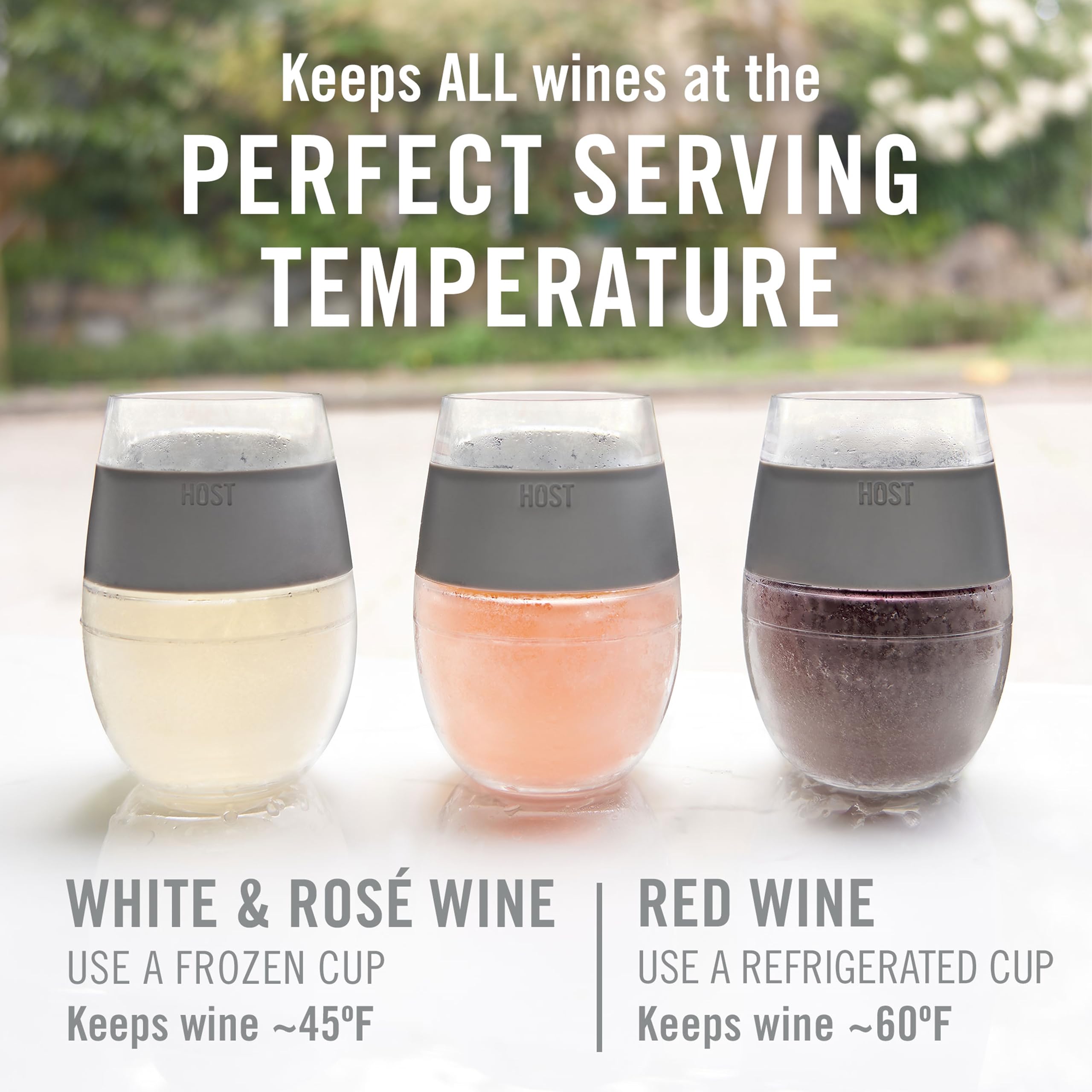 HOST Freeze Wine Glasses with Lids, Insulated Cooling Cups with Freezing Gel, Wine Tumbler Gifts for Women, Freezable Tumblers for Cocktails, Outdoor Party, and Home Bar Gifts, 8.5 oz Set of 2, Gray