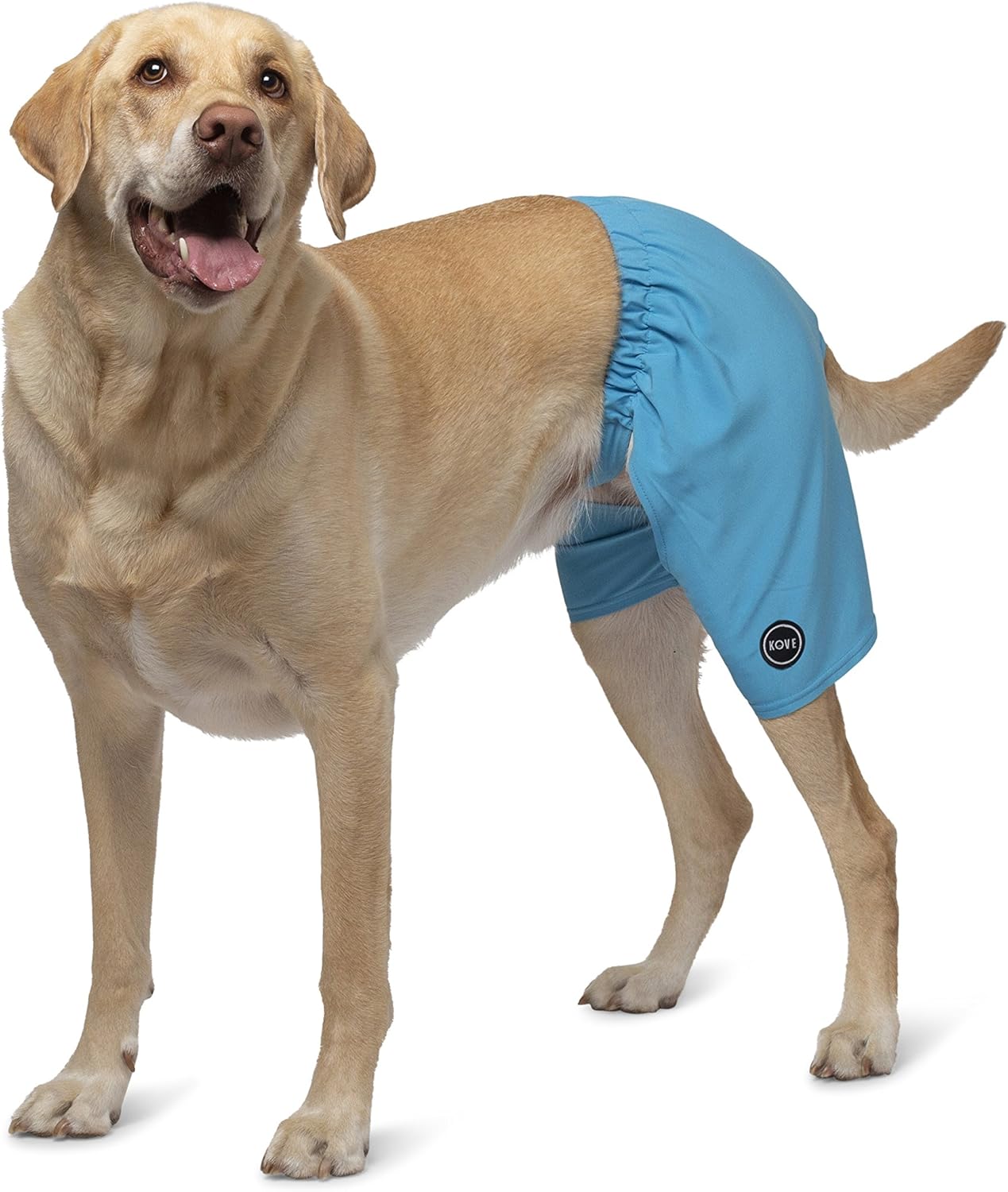 Pet Supplies Dog Swim Trunks Dog Shorts Dog Bathing Suit Dog Hibiscus