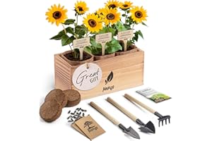 AVERGO Sunflower Seeds Growing Kit – Complete Indoor & Outdoor Kit with Sunflower Seeds for Planting, Planter, Soil, Tools, Instructions – Ideal for Planting Sun Flowers at Home
