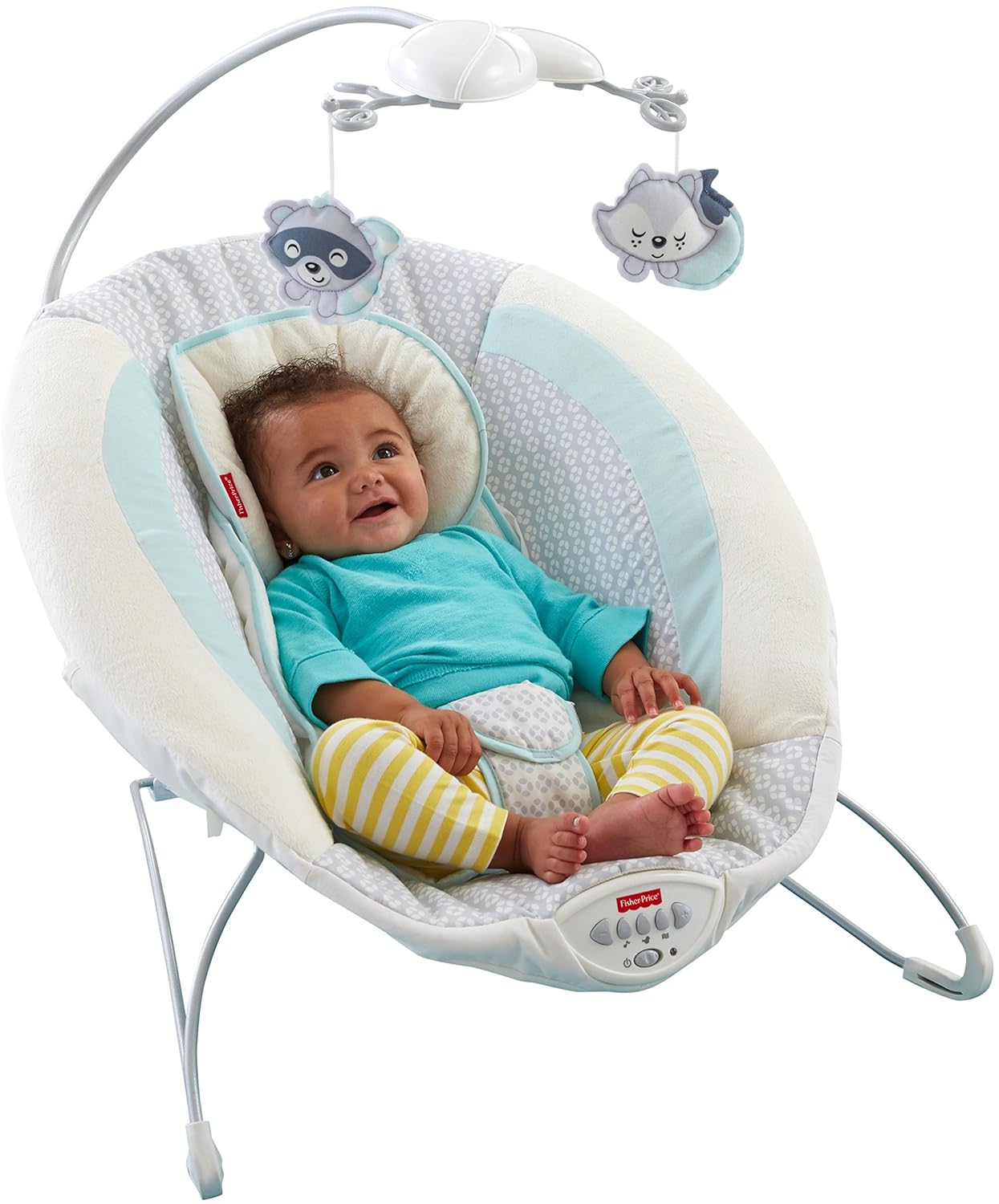 fisher price moonlight meadow bouncer