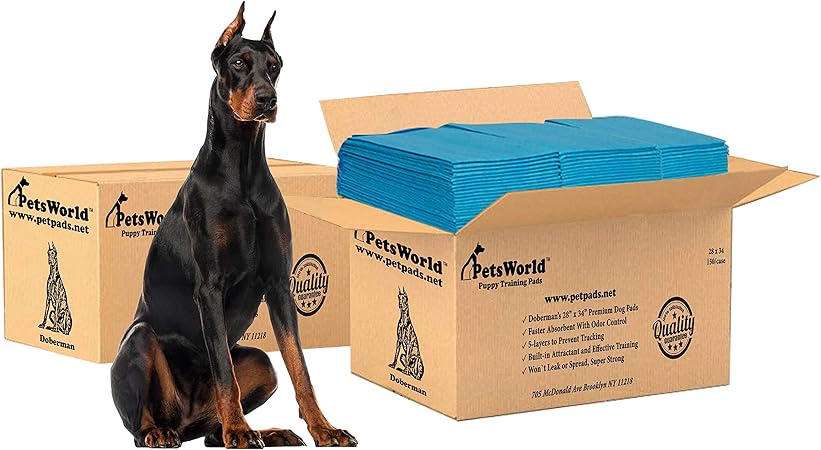 xl dog training pads