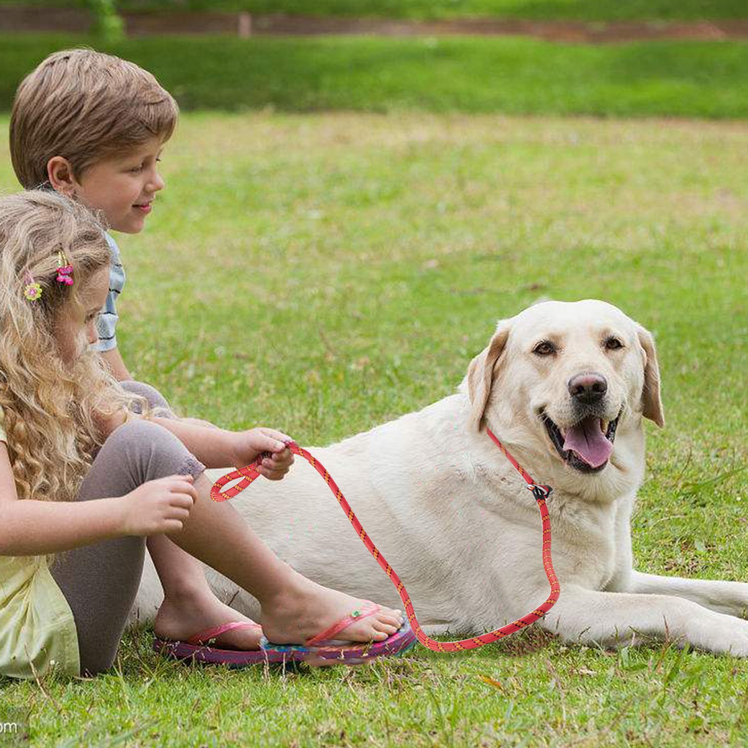 Ciaoed Gewebtes Hundegeschirr, Rot 1,75m Lang Verfilzt Gepolsterter Griffgeflecht Verstellbares Haustiertraining mit Krawatte