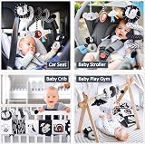 Joyreal Spiral Pram Toys Black and White High Contrast Newborn Toy Set view 6