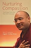 Nurturing Compassion: Teachings from the First Visit to Europe