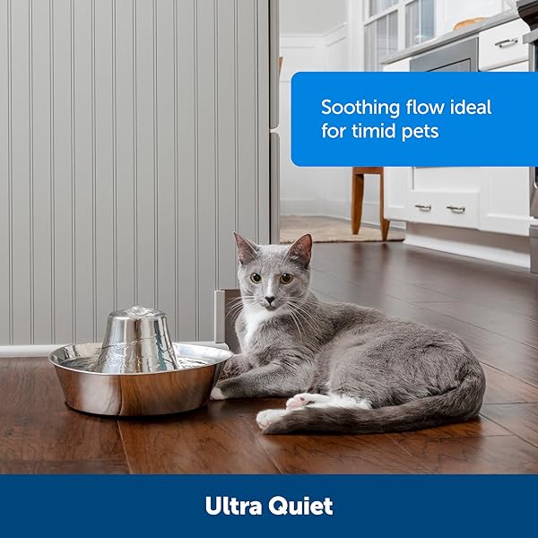 PETSAFE SEASIDE PET WATER FOUNTAIN (60 OZ/1.8L WATER CAPACITY) STAINLESS STEEL CAT WATER FOUNTAIN, HELPS PREVENT PET ACNE, SCRATCH AND RUST-RESISTANT MATERIAL