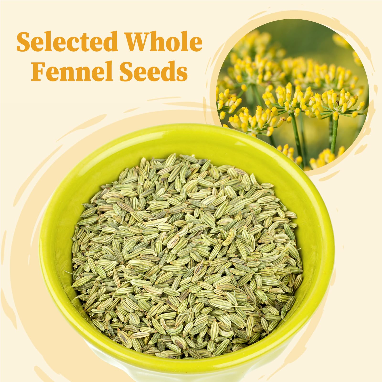 FullChea Fennel Tea Bags, 30 Teabags (4g/bag) - Premium Whole Seeds | Non-GMO | Caffeine-free | Helps Improve Digestion & Immune System