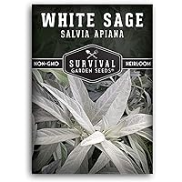 Survival Garden Seeds - White Sage Seed for Planting - Grow Your Own Smudging Incense - Packet with Instructions to…