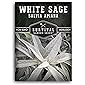 Survival Garden Seeds - White Sage Seed for Planting - Grow Your Own Smudging Incense - Packet with Instructions to…
