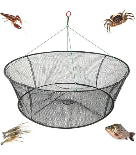 Amazon.com : Eagle Claw 10060-002 Double Ring Crab Net : General Sporting  Equipment : Sports & Outdoors