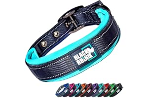 Black Rhino Dog Collars for Medium Dogs - Adjustable Reflective Heavy Duty Dog Collar with Ultra-Soft Neoprene Padding - Weatherproof, Durable, and Comfortable - Ideal for Active Dogs - Aqua and Gray