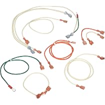 Amazon.com : Pentair 471202 DSI Wiring Replacement Kit MiniMax 100 Pool and  Spa Heater : Outdoor Spas : Patio, Lawn u0026 Garden