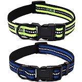 Mile High Life Night Reflective Double Bands Nylon