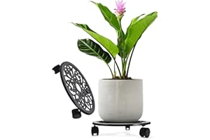 2WAYZ Plant Stand with Wheels - Heavy-Duty Rolling Plant Caddy - Dolly Base with Roller for Large Potted Plants and Flower Pot - Ideal for Indoor and Outdoor Planters - Set of 1 - Black