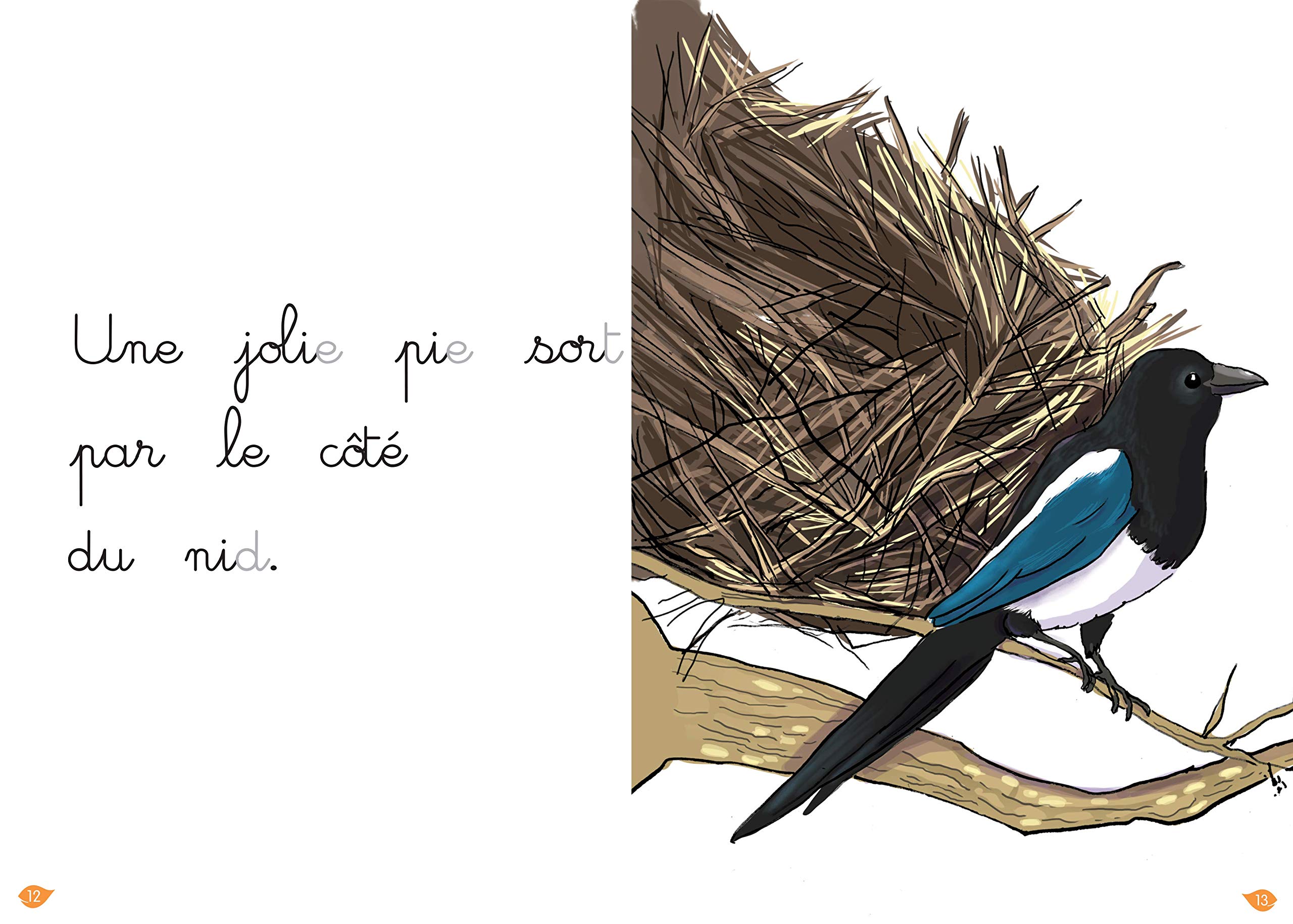 Amazon Fr La Pie Bavarde Niveau 1 J Apprends A Lire Montessori Jouenne Charlotte Doumont Gwenaelle Livres