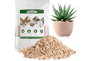 Jowlawn 6lb Decorative Rocks for Planters, Pots Indoor, Landscaping in Garden, Vases, Aquarium, Polished River Stones, 6-9mm