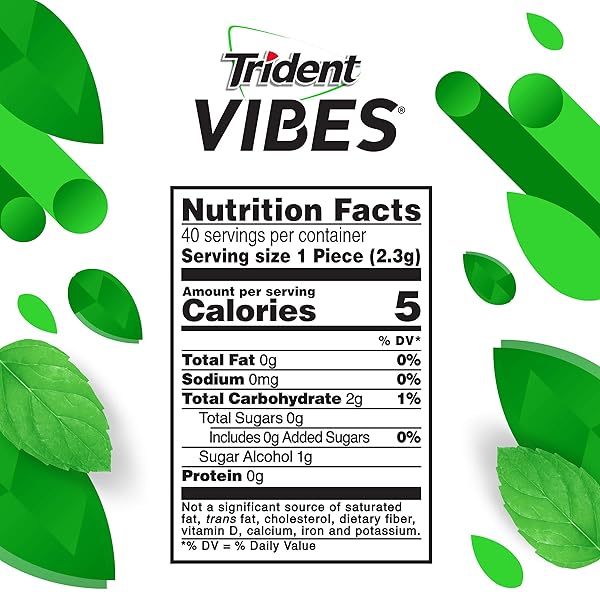TRIDENT VIBES SUGAR FREE GUM, SPEARMINT RUSH FLAVOR, 1 GO-CUP (40 PIECES TOTAL)
