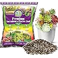 DUSPRO Succulents Soil Potting Mix – 7 in 1 Ingredients Well-Draining, Nutrient-Rich Cactus Potting Soil for Succulents and Cacti, Indoor & Outdoor Use, Ready to Use, Supports Healthy Root Growth, 2QT