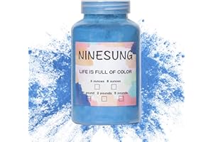ninesung Sky Blue Powder Coating Paint, 4 Ounces, High-Gloss, Rust Resistant, Indoor Outdoor, Metal