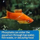 API Phosphate Test Kit 150-Test Freshwater Saltwater Aquarium Water Kit view 5