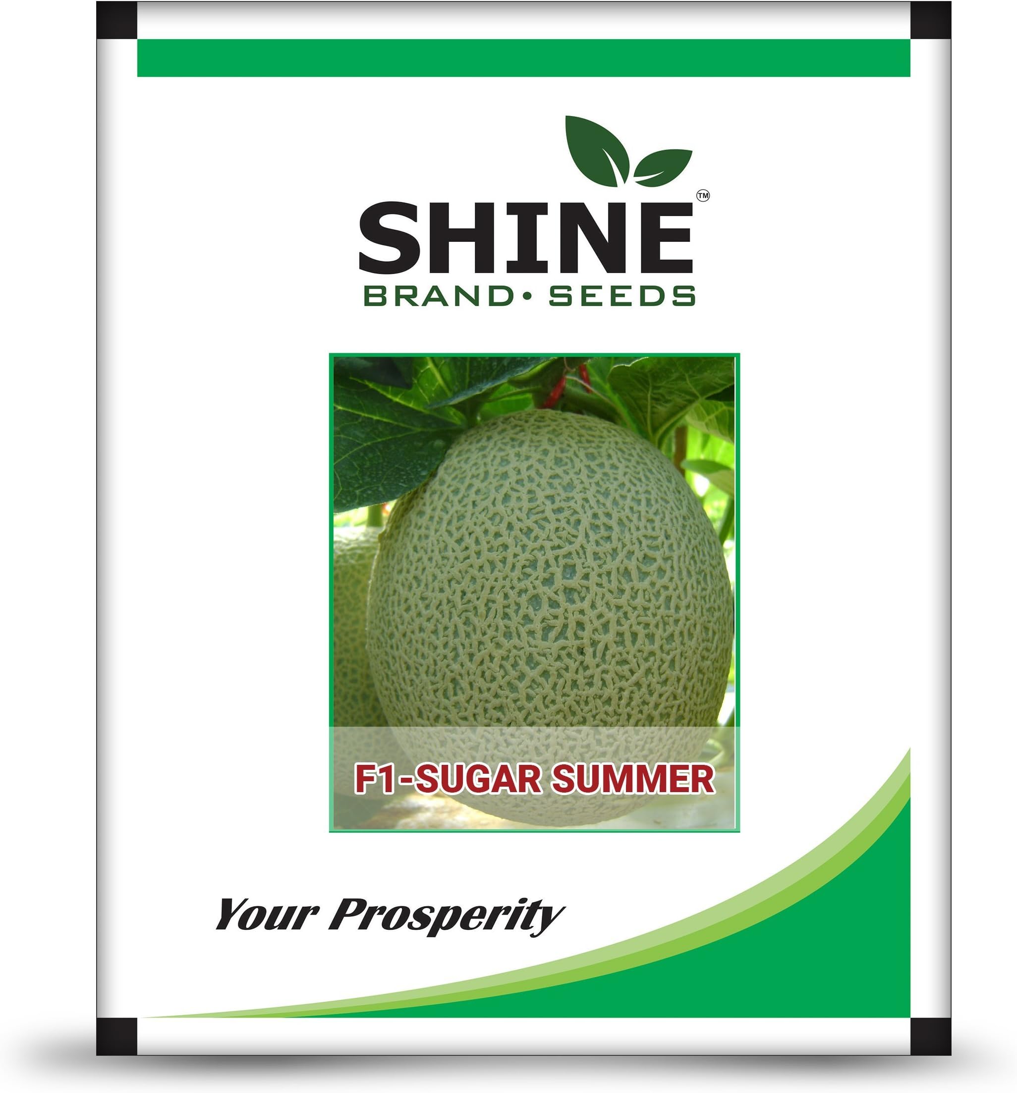 Shine Brand Seeds Hybrid Muskmelon Seeds F1 Sugar Summer (10 gm)