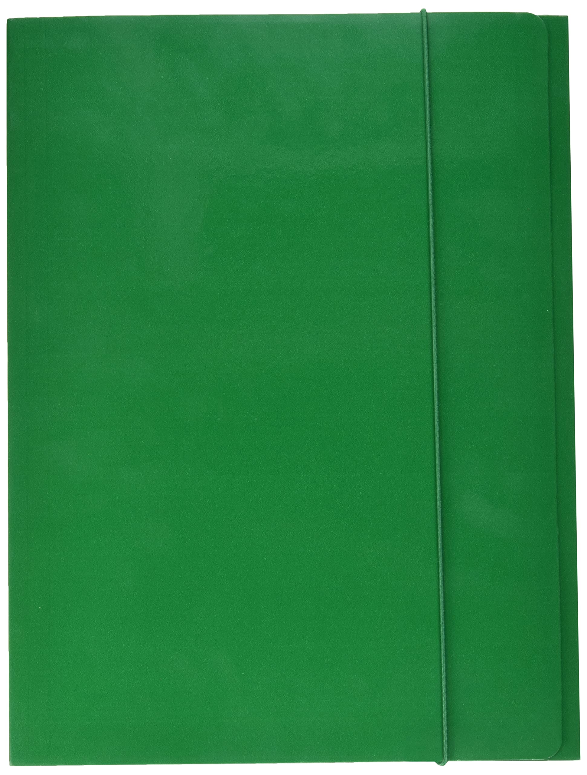 Alevar 2960/GR Elasticated Folder, Pack of 10