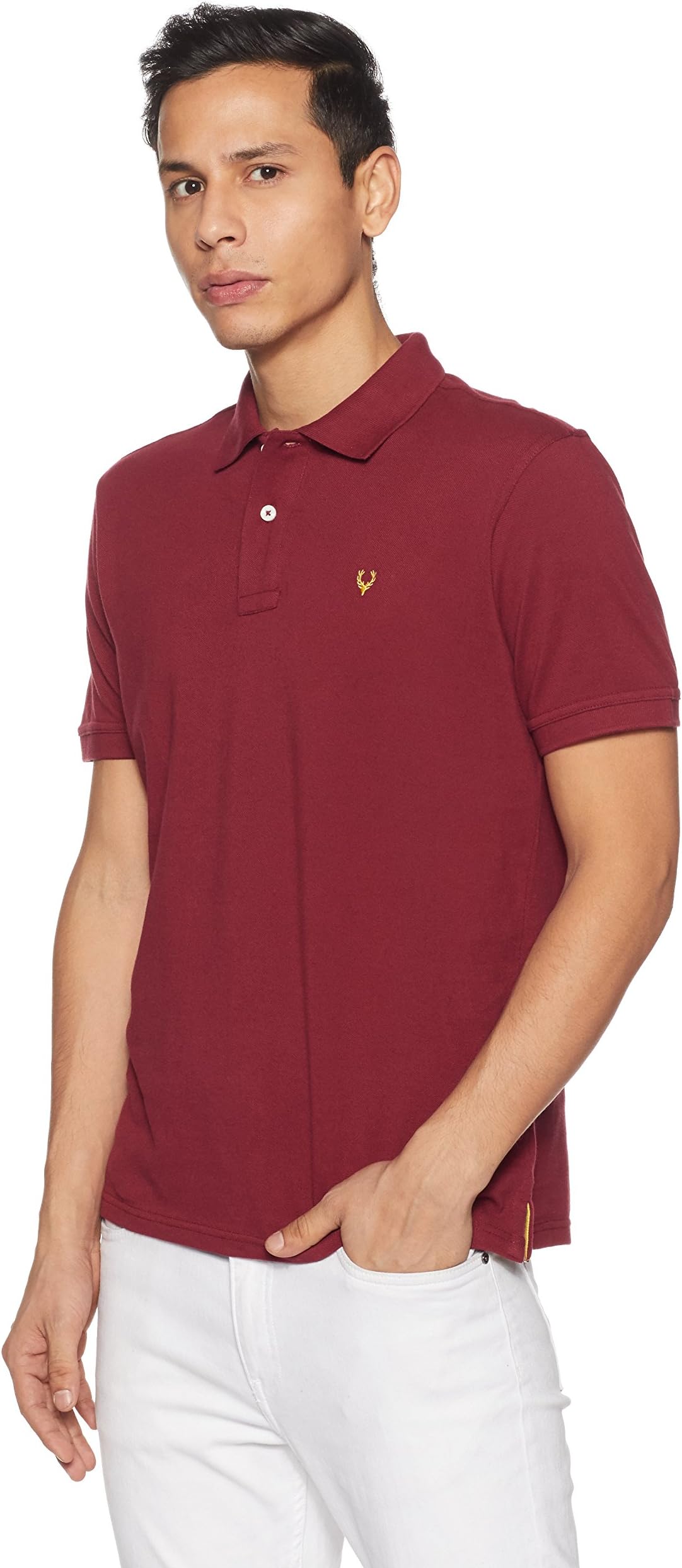 Allen Solly Men's Polo