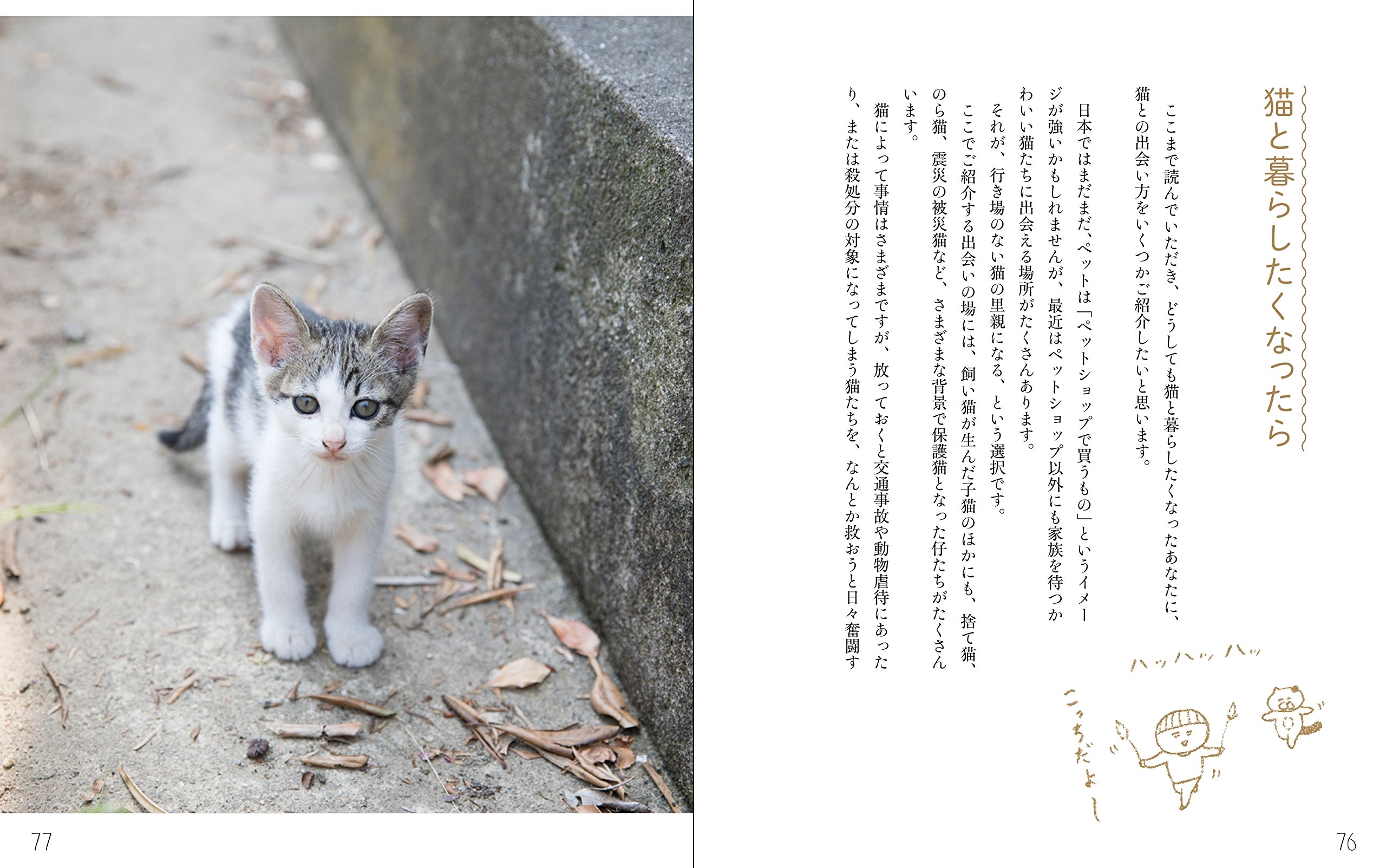 ねこのゴロゴロセラピー Cdブック 山本 宗伸 今井杏 五十嵐 健太 本 通販 Amazon