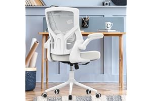 CYKOV Office Chair, High Back Desk Chair Adjustable Height and Ergonomic Design Home Office Computer Chair Executive Lumbar Support Padded Flip-up Armrest Swivel Task Chair