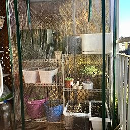 Relaxdays 10018888_345 - Invernadero, 100 x 150 x 50 cm: Amazon.es ...