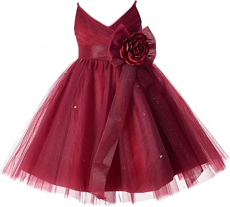 burgundy tutu dress