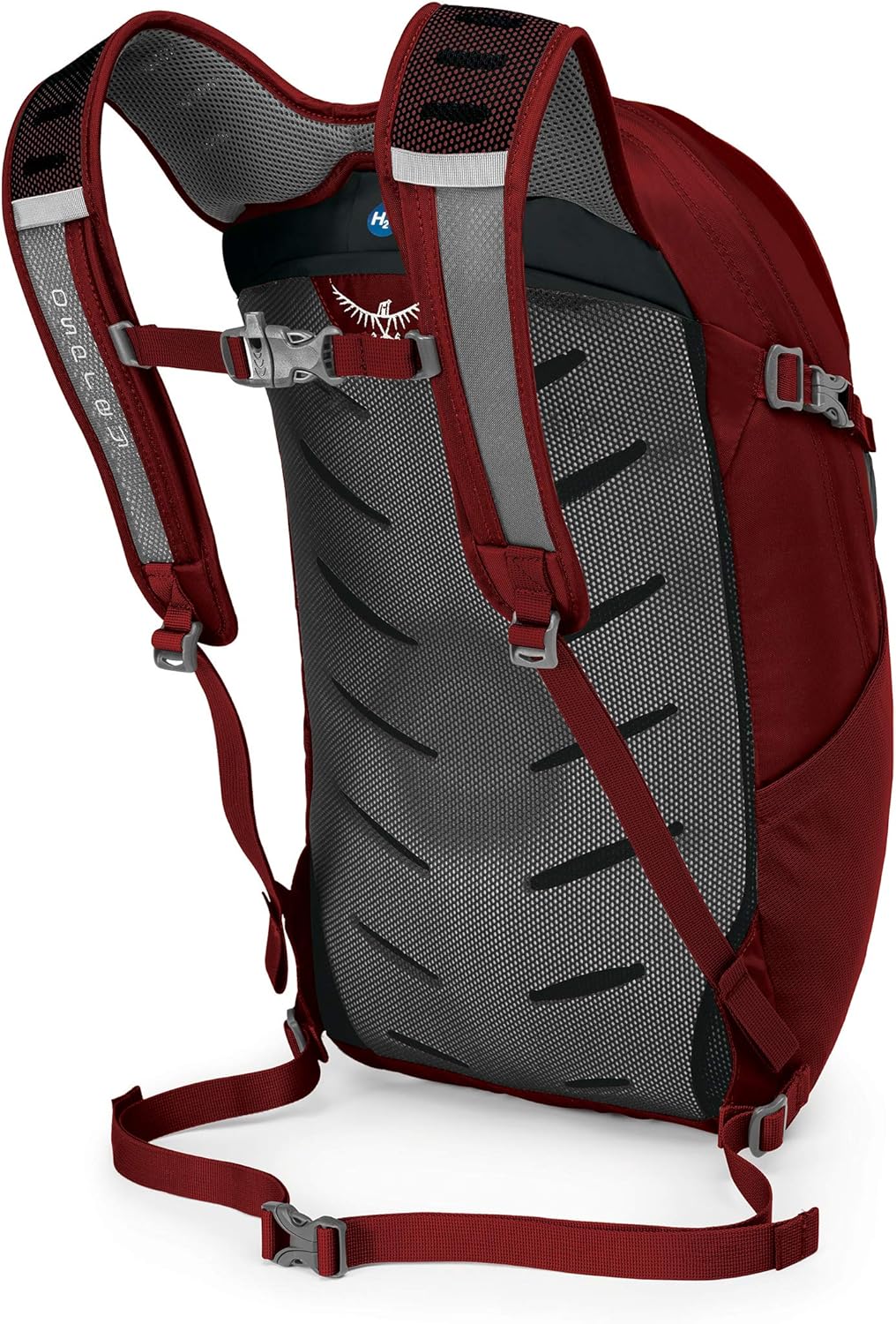 Osprey Packs Daylite Plus Daypack, Black: Sports & Outdoors