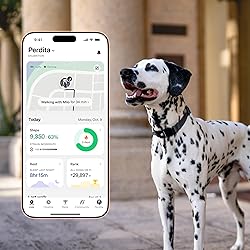 New Fi Series 3+ Smart Dog Tracker Collar – AI